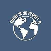 Vinyl Wall Art Decal - There is No Planet B - 5.5