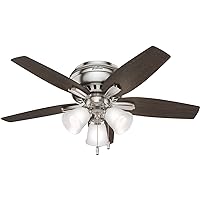 Hunter Fan Company Newsome Indoor Low Profile Ceiling Fan with LED Light and Pull Chain Control, 42