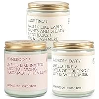Ancedote Candles - Homebody Bundle - 4 Coconut Soy Wax Candles | Premium Hand Poured & Long Burning | Phthalate-Free | for Home, Office, Gift - 7.8 Oz Each