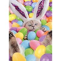 Bunny Cat in Pool of Easter Eggs Humorous : Funny Easter Card