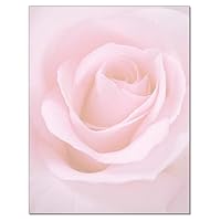 Blushing Rose Letterhead - 100 Sheets/Pack - 1 Pack