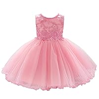 Dressy Daisy Baby Girls Wedding Flower Girl Dress Lace Embroideries Pageant Gown Special Occasion Birthday Tulle Skirt