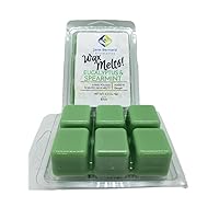 Soy Blend | Wax Melt | 2.5 Oz Net Wt | 1 Pack only with 6 Snappable Cubes in Clamshell | Eucalyptus and Spearmint
