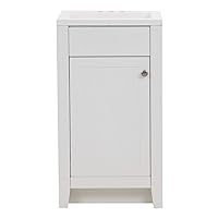 Spring Mill Cabinets Wyre Bathroom Vanity with 1-Door Cabinet and White Single-Sink Top, 18.25