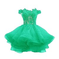 Teens Off The Shoulder Organza Short Prom Dresses Lace Applique Short Cocktail Party Dresses for Juniors PRY150