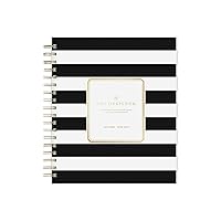 Blue Sky Day Designer for 2023-2024 Academic Year Daily and Monthly Planner, 8' x 10', Frosted Cover, Wirebound, Black Stripe (137885-A24)