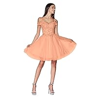 Short Homecoming Dresses for Teens Lace Appliques Tulle Prom Dress for Women Mini Cocktail Dress