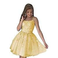 Spaghetti Straps Tulle Homecoming Dresses for Teens Short Prom Dress Lace Applique Cocktail Dress Party Gown