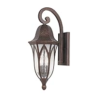 Designers Fountain 20621-BAC Berkshire Outdoor Wall Lantern Sconce, 11.5