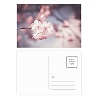 Pink White Dim Flowers Postcard Set Birthday Mailing Thanks Greeting Card