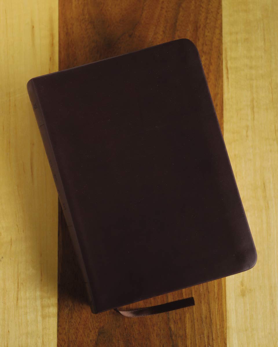 NRSV, The Life with God Bible, Compact, Italian Leather, Burgundy (A Renovare Resource)