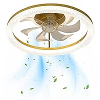 Ceiling Fan with Lights,19.7''LED Remote Control 3-Color Lighting 6 Wind Speeds, Low Profile Flush Mount Ceiling Light,Mute Ceiling Fan with Light LED Lighting