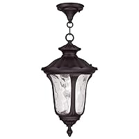 Livex Lighting 7854-07 Oxford 1 Light Outdoor Hanging Lantern, Bronze