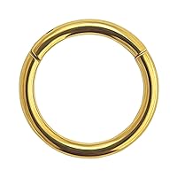 14 Gauge (1.6MM) Gold Anodized Grade 23 Solid Titanium Hinged Segment Ring