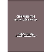 Ciberdelitos. Instrucción y prueba (Spanish Edition)