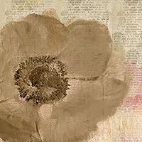 Newspaper Floral 2 Poster Print by Kimberly Allen (24 x 24)