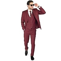 Slim Fit 2 Button Burgundy Notch Lapel Mens Suit 8028-58