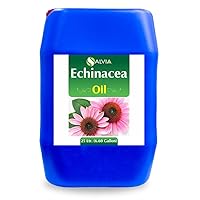 Salvia Echinacea (Echinacea angustifolia) Oil | Pure & Natural Carrier Oil for Skincare and Hair Care - 25L/845.35 fl oz