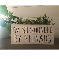 I'm surrounded by Stunads funny italian saying wood painted sign gift for new home (American Walnut)