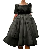 WDPL Women's Short Sleeve Tulle Layered Dress for Photo Shoot