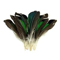 10 Pieces - Iridescent Green Mallard Duck Wing Feathers Halloween Craft Supply | Moonlight Feather