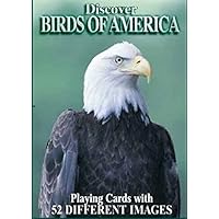 Discover Series Fun Playing Cards - Informational & Educational (Birds of America)