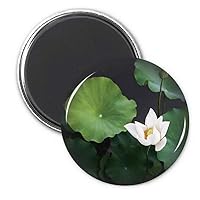 Fresh Lotus Leaf Plant Picture Nature Refrigerator Magnet Sticker Decoration Badge Gift