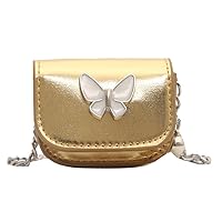 Bags for Women, Fashionable Chain Crossbody Mini Bag for Lipstick Cute Butterfly PU Leather Evening Coin Purses Earphone Organizer