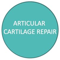 articular cartilage repair