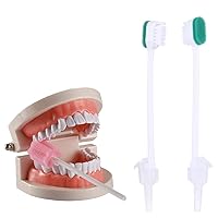 Disposable ICU Suction Toothbrush Sputum with Mouth swabs
