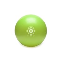 STOTT PILATES Mini Stability Ball