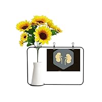 Beauty Gift Body Internal Organs Kidney Artificial Sunflower Vases Bottle Blessing Card