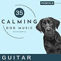 Music for Dogs to Sleep (Guitar Instrumental)