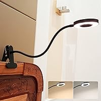 DINGLILIGHTING DLLT LED USB Reading Light Clip Laptop Lamp for Book,Piano,Bed Headboard,Desk, Eye-Care 2 Light Color Switchable, Adapter Included, Black