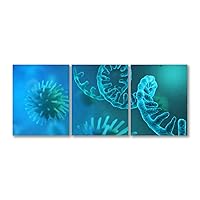 Canvas Wall Art Ready to Hang RNA microscopic view of infectious SARS CoV 2 cells Posters Prints Artwork Paintings for Living Room Bedroom Bathrooms Office Wall Decorations