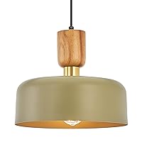 Contemporary Pendant Lighting,Large Pendant Lamp,Wood and Brass Accent,Adjustable Metal Hanging Light Fixture for Kitchen, Dining Room, Green
