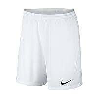 Nike Dry Park III Men's Shorts