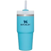 Stanley Quencher H2.0 FlowState Stainless Steel Vacuum Insulated Tumbler with Lid and Straw for Water, Iced Tea or Coffee, Smoothie and More, Pool, 14 oz