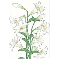 Greeting Life Anniversary Flower Card Lily YZ-382