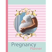Pregnancy Planner: Mom Pregnancy Planner Help Her Daily Routine, Doctor Appointments, Baby Shower Invitation Gest List, And More