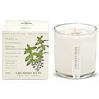 Crushed Mint Scented Candle with Plantable Box (9 oz) | Plant The Box Collection, 100% Pure Soy Wax Candles | Hand-Poured in USA | Long Lasting 60 Hour Burning Candles | Scented Candles for Home