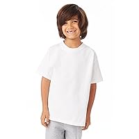 Hanes unisex-child Authentic Tagless Short-Sleeve T-Shirt