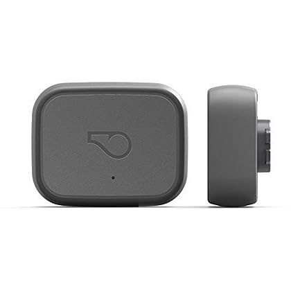 Whistle 3 / GPS Pet Tracker & Activity Monitor / Grey