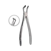 Dental Extracting Forceps FIG-79A - Berten Forceps for Lower Wisdom Tooth 17 cm - Extraction Serrated Forceps - Heavy Duty Dental Forceps - Premium German Surgical Steel (Hossa)