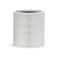 R0010 Replacement Filter for Core 750 Air & Surface Purifier - 3-Layer Design With Pre-Filter, H13 True HEPA Filter, And Carbon Filter
