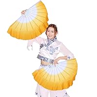 ZooBoo Dance Hand Held Fan - 1Pair Chinese Hand-Held Fold Vintage Style Portable Personalized Tai Chi Kungfu Dancing Folding Fans Decoration for Women Kids Dance - Silk and Plastic - 13inch