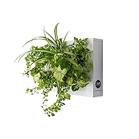 Hang.Oasi.Home - Indoor Vertical Garden, Contains 1 White Planter Unit, Design Your Own Living Wall With Vertical Gardening Planters, Use Indoors, Holds 6 Plants
