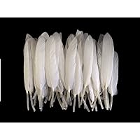 1 Pack - Natural White Dyed Duck Cochettes Loose Wing Feather 0.30 Oz. Halloween, Wedding, Carnival Craft Supply
