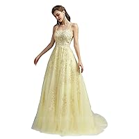 Women's Lace Applique Prom Dresses Backless Adjustable Strap Elegant Evening Gown