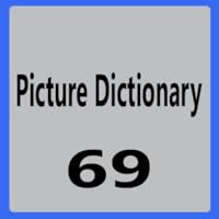 Picture Dictionary 69